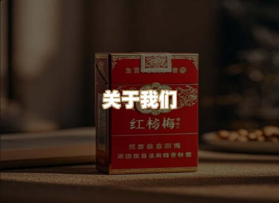 关于云歌烟网